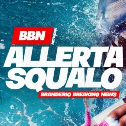 allerta squalo comune di branderio